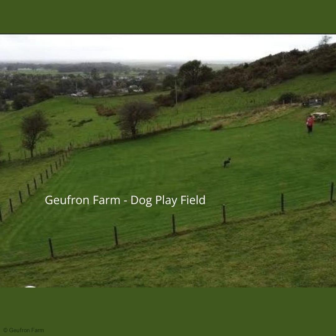 The Barn At Geufron Farm - Dog Friendly - Nr Tywyn Villa Bryn-crug Kültér fotó